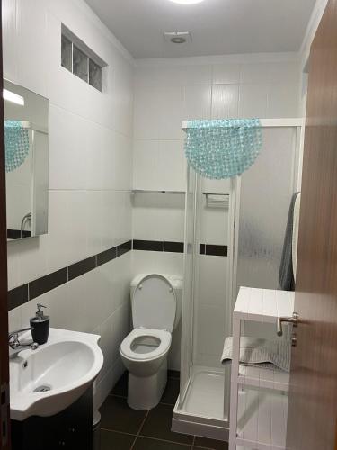 a bathroom with a toilet and a sink at Quinta do Palhal de Baixo in Senhora das Febres