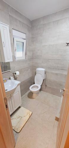a bathroom with a toilet and a sink at Montain House Rakocevic in Kolašin