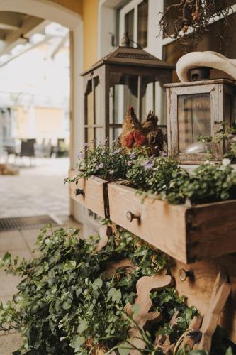 a chicken in a wooden box with plants in it at Hotel Pension Futterknecht in Burgau