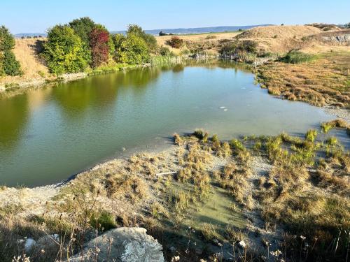 an aerial view of a pond in a field at Ferienhaus Ickelhaus 1 in Bad Windsheim