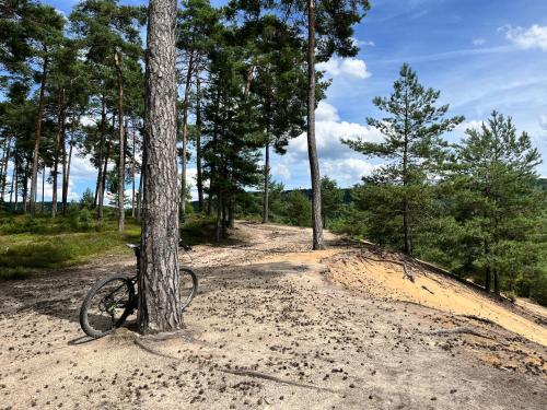 a bike parked next to a tree on a dirt road at Ferienhaus Ickelhaus 1 in Bad Windsheim