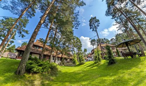a house in the woods with a lawn and trees at KRALjEVI KONACI ZLATIBOR in Zlatibor