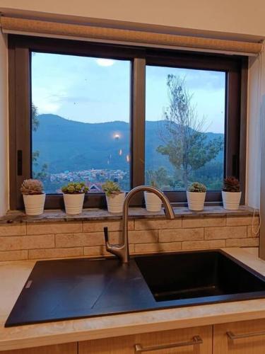 a kitchen counter with a sink and a window at Shangrila Casa-Premium Homestay in Lovedale