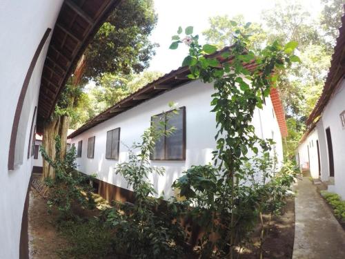 a white building with plants growing around it at Perhentian Tivoli Inn in Perhentian Island