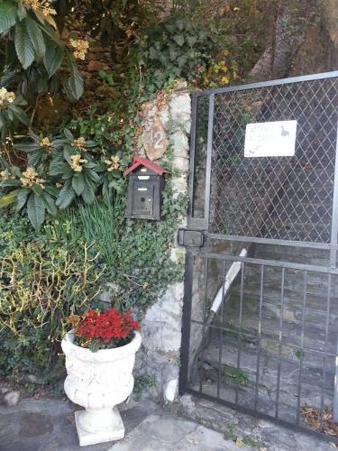 Κήπος έξω από το Anly Apartment
