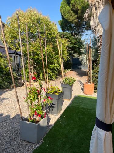 a row of potted plants in a garden at Le gîte des moineaux in Argeliers