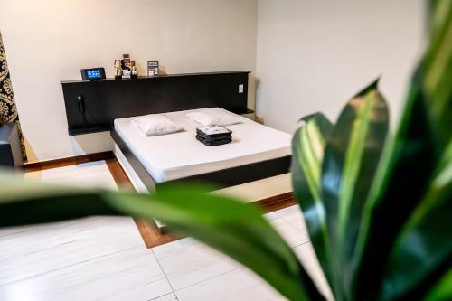 a bed in a room with a plant at Prime Motel Campinas in Campinas