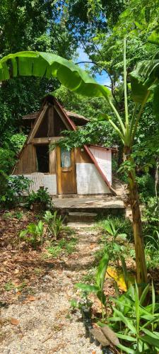 a small house in the middle of a forest at Butterfly Space- A Non-Profit Eco-Lodge in Nkhata Bay