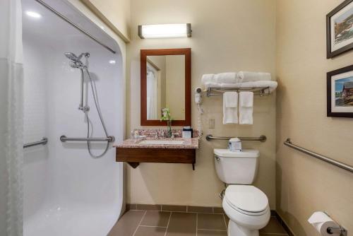a bathroom with a toilet and a shower and a sink at Comfort Inn Ellsworth - Bar Harbor in Ellsworth