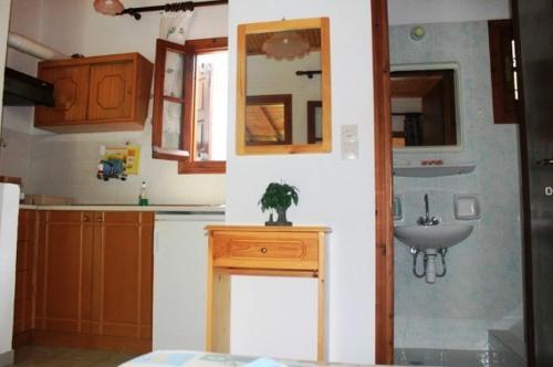 a small kitchen with a sink and a sink at The Garden in Potistika