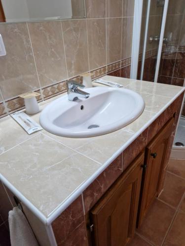 a bathroom with a white sink and a mirror at Chambres d'hôtes à Pêtre in Entrevennes