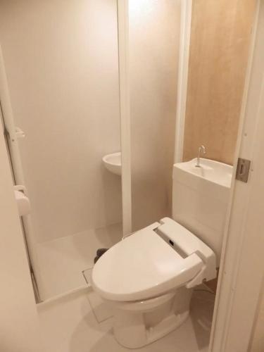 a white bathroom with a toilet and a sink at shinjuku yuki okubo 502-SJ0044 in Tokyo