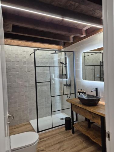 a bathroom with a sink and a glass shower at Casa La tranca in Cuevas del Valle
