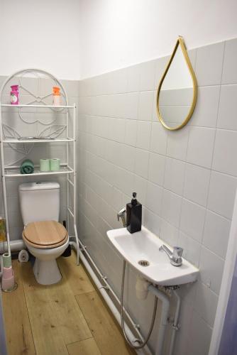 une salle de bain avec toilettes, lavabo et miroir dans l'établissement Chez Stf, à Sanary-sur-Mer