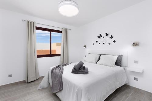 Acoran Beach Corralejo by Sea You There Fuerteventura