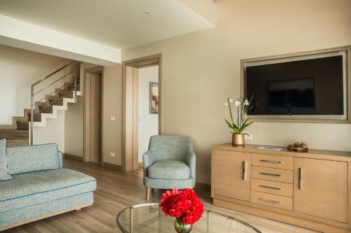 a living room with a couch and a chair and a tv at Electra Kefalonia Hotel & Spa in Svoronata