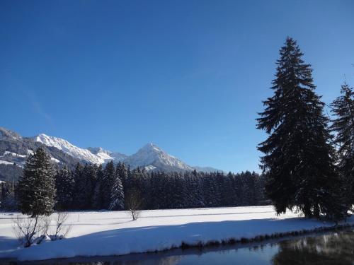 a snow covered field with trees and mountains at Ferienwohnungen Ellen Müller in Fischen
