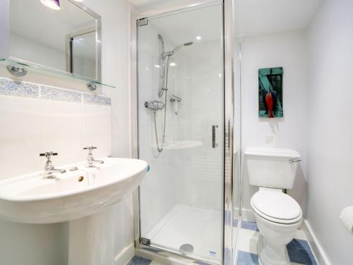 a bathroom with a toilet and a sink and a shower at Turtle Cottage in Charlestown