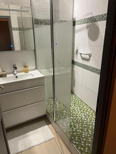 une salle de bain avec douche et lavabo dans l'établissement Appartement de charme au centre historique d'Arles, à Arles