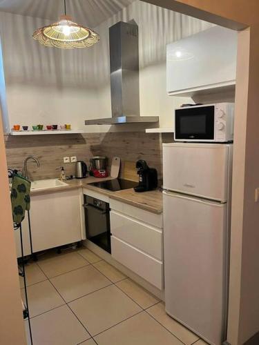 une petite cuisine avec un évier et un réfrigérateur dans l'établissement Appartement de charme au centre historique d'Arles, à Arles