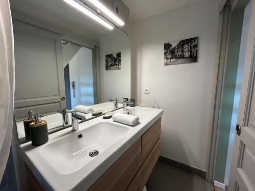 une salle de bain avec un lavabo et un miroir dans l'établissement Colmar City Center - Appartement BELLE-VUE 4 étoiles, à Colmar