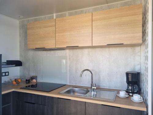 Una cocina con fregadero y armarios de madera. en MAS DES LAVANDES, en Sérignan