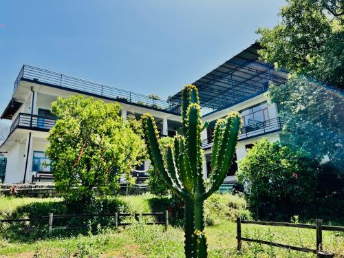 Jardín al aire libre en Little Bir