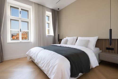Luxurious and spacious 4BR in historical downtown