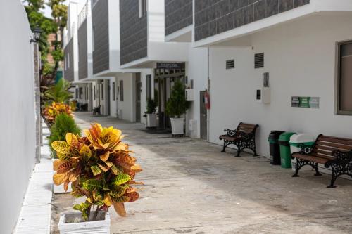 a building with benches and flowers on a street at Hotel El Marqués De Manga in Cartagena de Indias