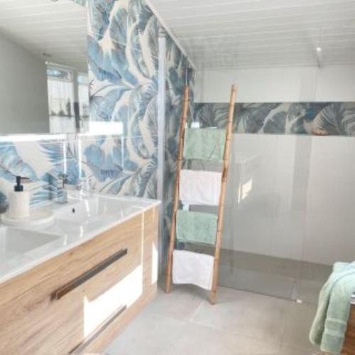 La salle de bains est pourvue d'un lavabo et d'une douche avec une échelle. dans l'établissement Chambres d'Hôtes d'Aliénor, à Soulac-sur-Mer