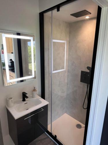 une salle de bain avec une douche, un lavabo et un miroir dans l'établissement Natiboxe Studio, à Saint-Palais-sur-Mer