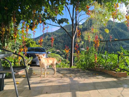 Un paisaje natural cerca del camping