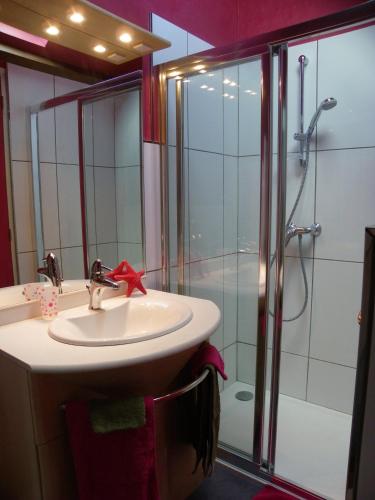 une salle de bain avec un lavabo et une douche dans l'établissement Fleur de Ciel, à Loos-en-Gohelle