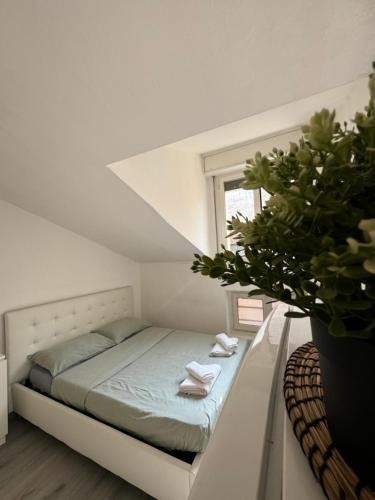 b&b Loreto