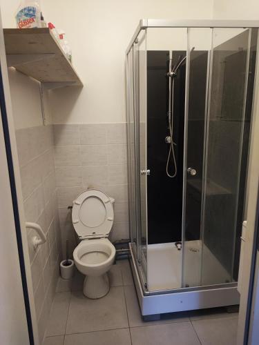 une salle de bain avec toilettes et douche en verre dans l'établissement Chambre st Vallier, à Saint-Vallier