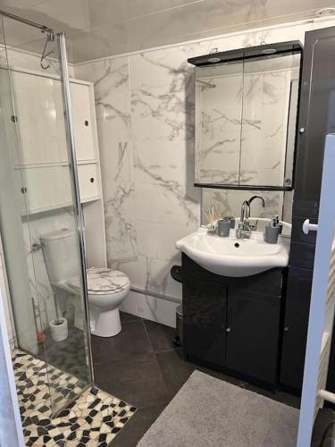 une salle de bain avec toilettes, lavabo et miroir dans l'établissement Coup de coeur au bord du lac, à Leucate-Plage