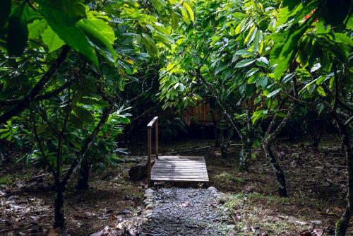 a wooden bridge in the middle of a forest at Río Celeste, Cacahua Lodge in Rio Celeste