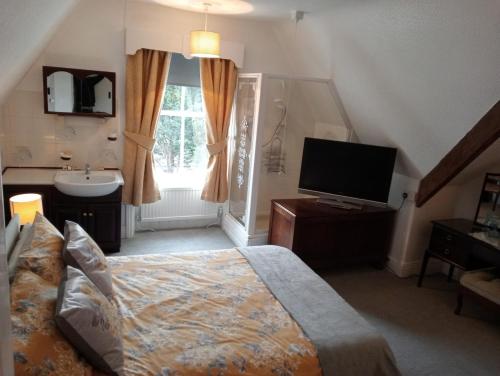 a bedroom with a bed and a television and a sink at Bron Orme Private Hotel in Llandudno