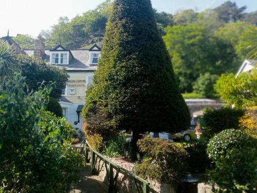 a large tree in front of a white house at Bron Orme Private Hotel in Llandudno