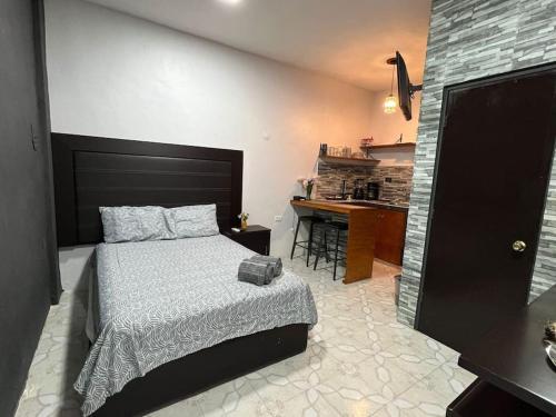 a bedroom with a bed and a desk in it at Departamento PLAYA GRIS in Ciudad del Carmen
