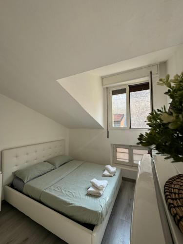 b&b Loreto