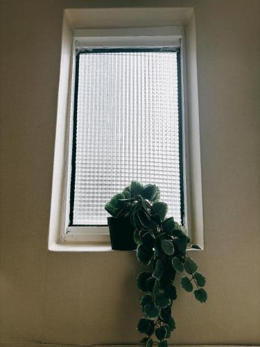 Φωτογραφία από το άλμπουμ του 3bed house Haeundae στο Μπουσάν