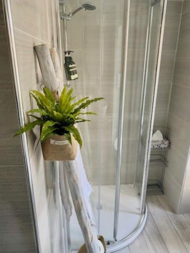 a shower with a potted plant in a bathroom at Milan Cozy Apartment Gambara - SanSiro in Milan