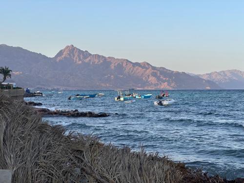 a group of boats in a body of water with mountains at Amanda beach hotel in Dahab