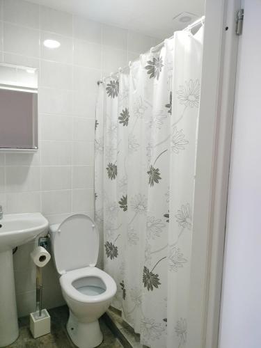 a bathroom with a toilet and a shower curtain at Casa Sforii Brasov in Braşov