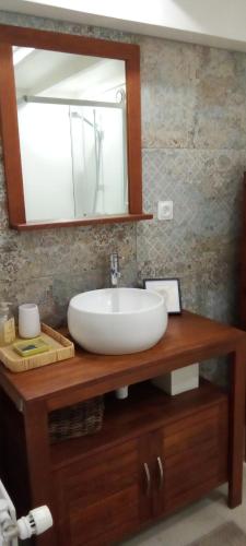 une salle de bain avec un lavabo et un miroir sur un comptoir dans l'établissement Chambre d'hôtes DOLCE FARNIENTE, à La Roche-sur-Yon