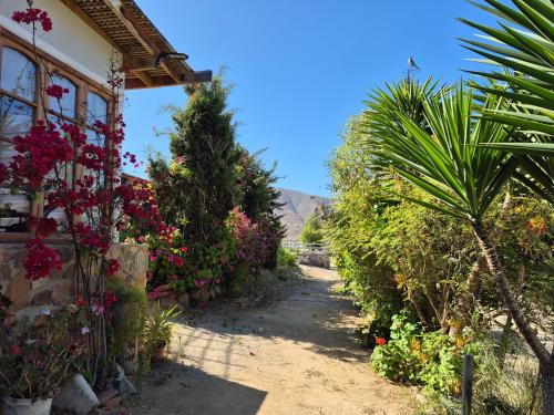 Κήπος έξω από το Hostal Los Almendros