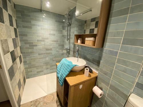 une salle de bain avec un lavabo et une douche dans l'établissement La mezzanine du Maire - 352, à Rouen