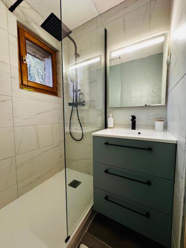 une salle de bain avec un lavabo et une douche en verre dans l'établissement Appartement Calme et Chaleureux, à Demi-Quartier