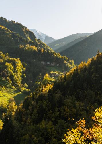a view of a valley with trees and mountains at Happy days house in Shuakhevi